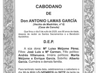D. ANTONIO LAMAS GARCÍA
