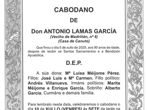 D. ANTONIO LAMAS GARCÍA