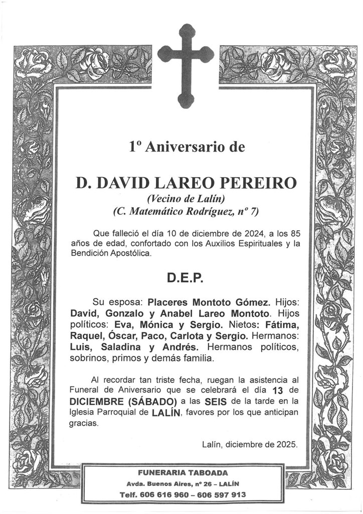 D. DAVID LAREO PEREIRO