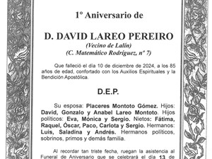 D. DAVID LAREO PEREIRO