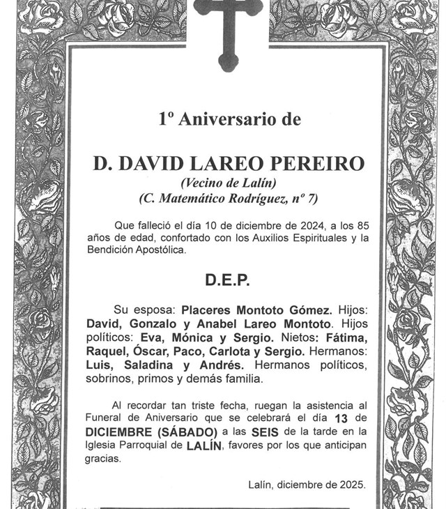 D. DAVID LAREO PEREIRO
