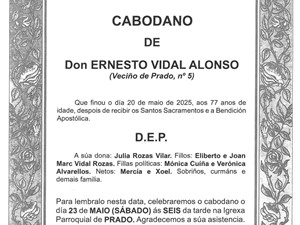 D. ERNESTO VIDAL ALONSO