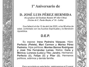 D. JOSÉ LUIS PÉREZ HERMIDA