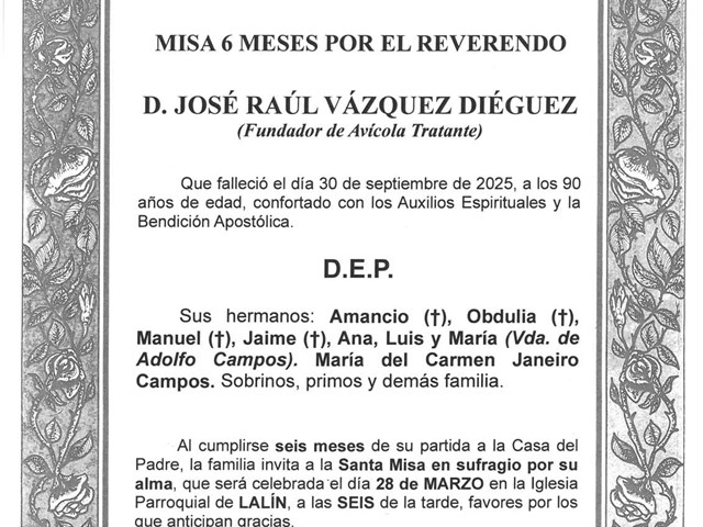 D. JOSÉ RAÚL VÁZQUEZ DIÉGUEZ