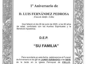 D. LUIS FERNÁNDEZ PEDROSA