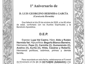 D. LUIS GEORGINO HERMIDA GARCÍA