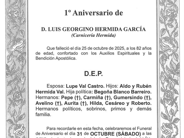 D. LUIS GEORGINO HERMIDA GARCÍA