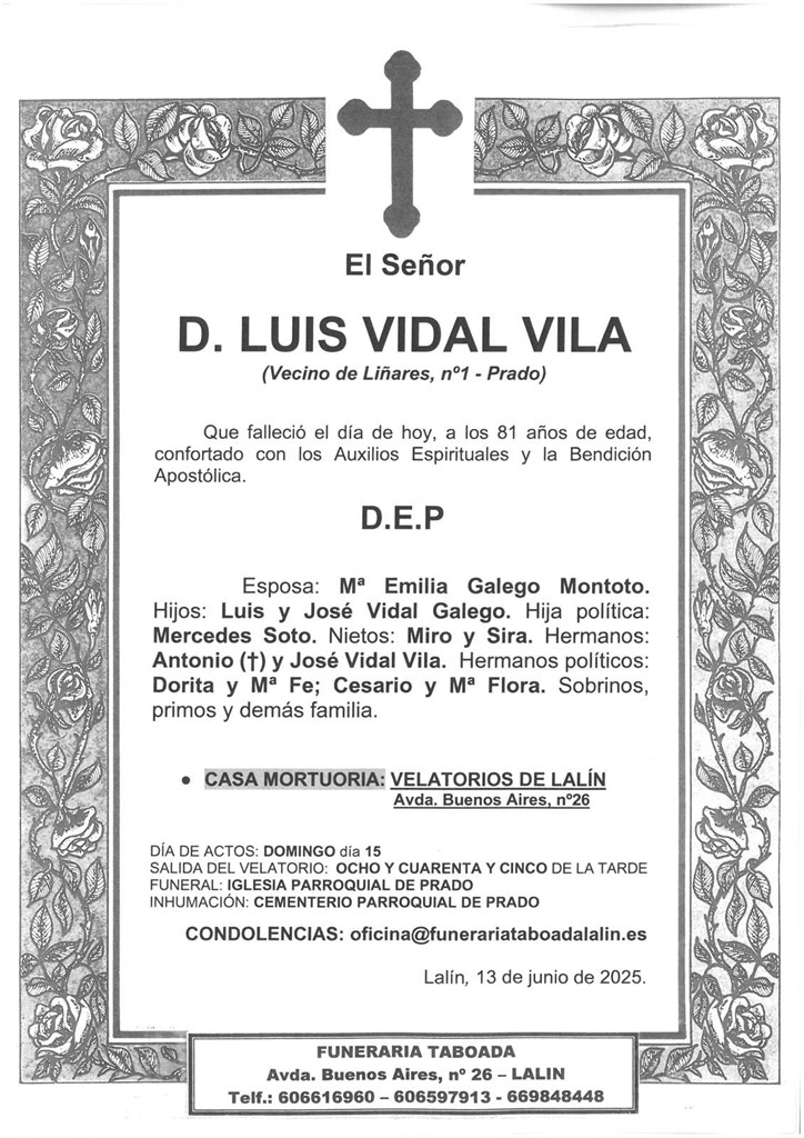 Foto principal D. LUIS VIDAL VILA