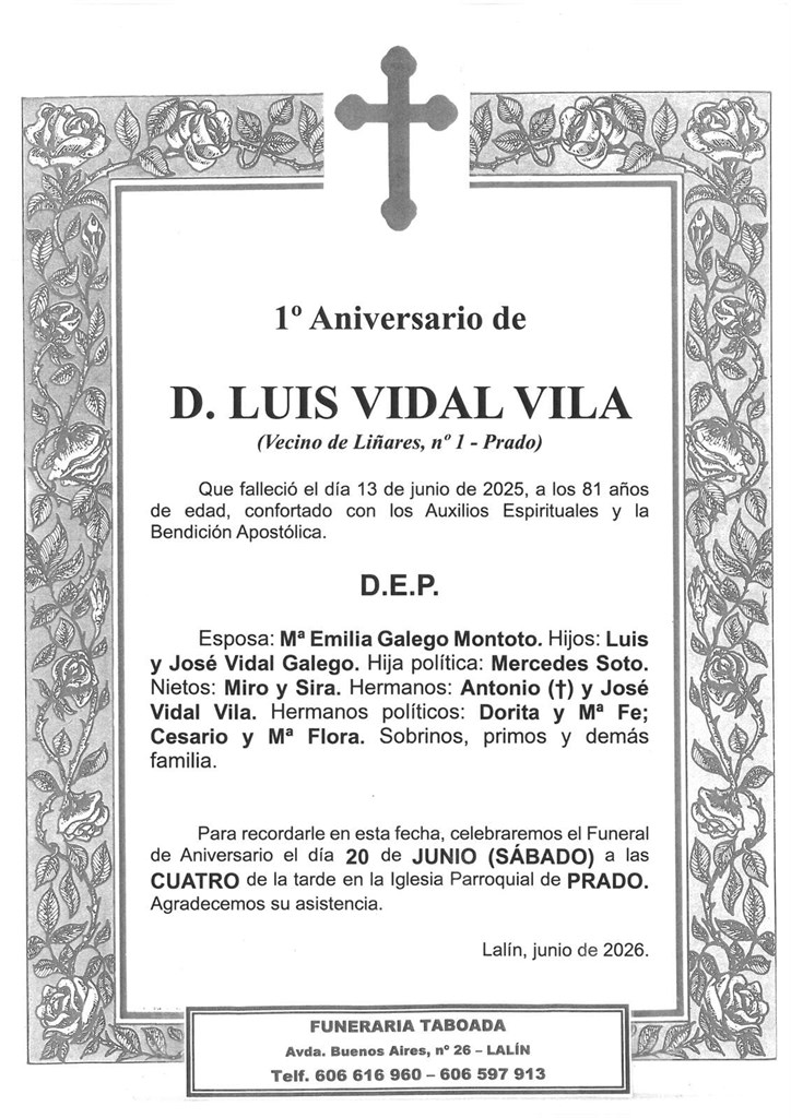 D. LUIS VIDAL VILA