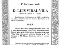 D. LUIS VIDAL VILA