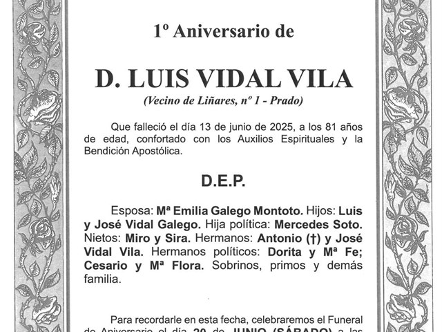 D. LUIS VIDAL VILA