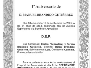 D. MANUEL BRANDIDO GUTIÉRREZ