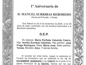 D. MANUEL SURRIBAS REBOREDO