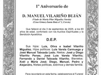 D. MANUEL VILARIÑO BUJÁN