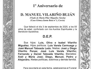 D. MANUEL VILARIÑO BUJÁN