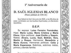 D. SAÚL IGLESIAS BLANCO
