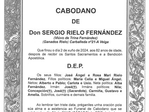 D. SERGIO RIELO FERNÁNDEZ
