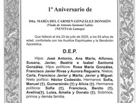 DÑA. MARÍA DEL CARMEN GONZÁLEZ DONSIÓN